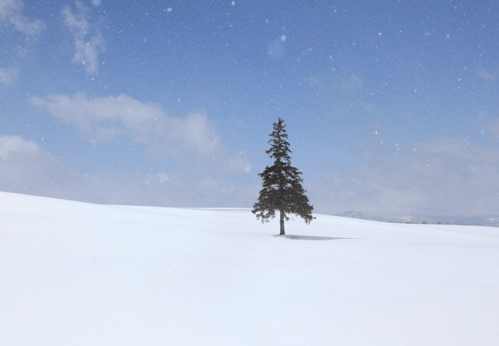 曇り時々晴れ。所によって吹雪･･･