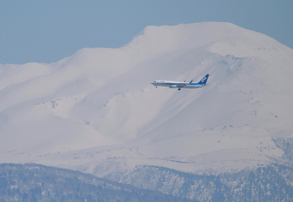 Boeing737-800　