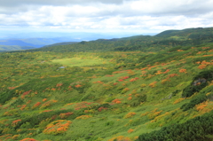 旭岳・御田の原～紅葉俯瞰