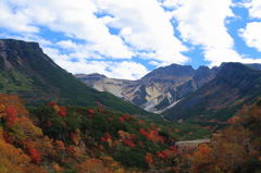 十勝岳紅葉風景