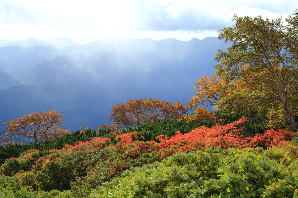 紅葉燦々と