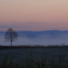 霧流れる丘