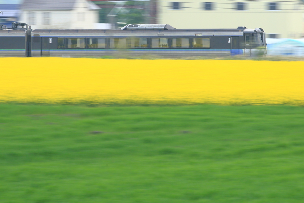 菜の花畑を疾ける