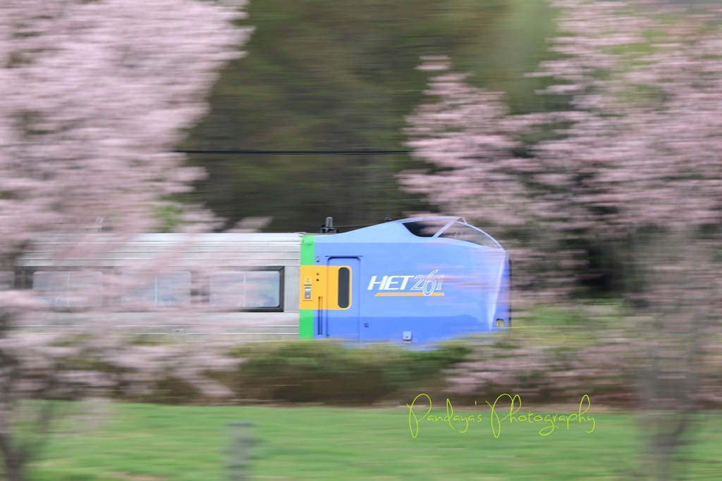 春に駆ける