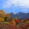 十勝岳紅葉風景～望岳台