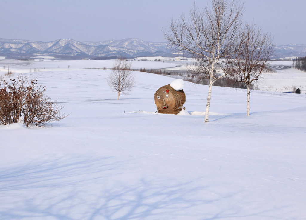 雪の中の牧草ロール君