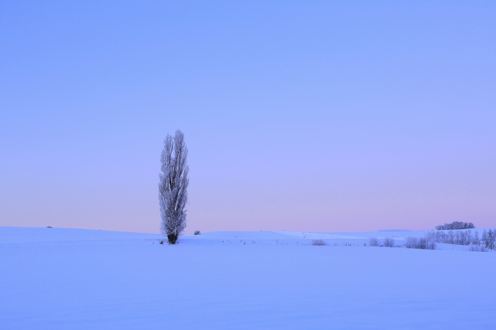 Magic hour