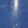 霧氷光輝