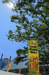 サヨナラじゃない