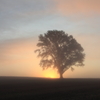 daybreak