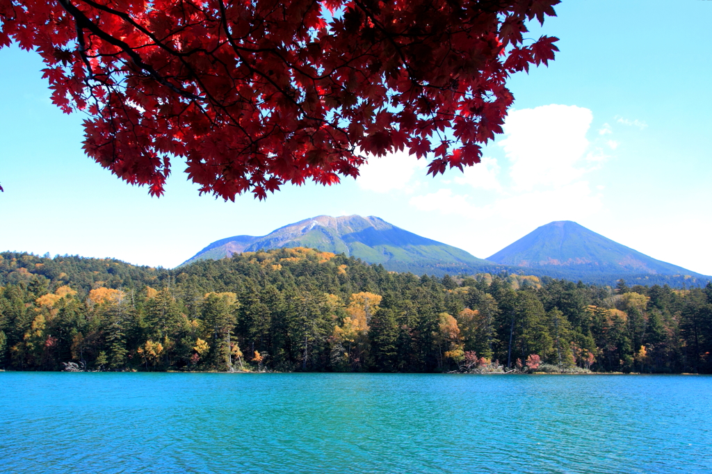 蒼緑の湖と楓の赤