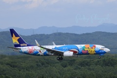 SKY MARK Pokemon Jet Ⅱ