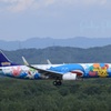 SKY MARK Pokemon Jet Ⅱ