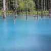 青い池（北海道）