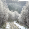 霧氷の路