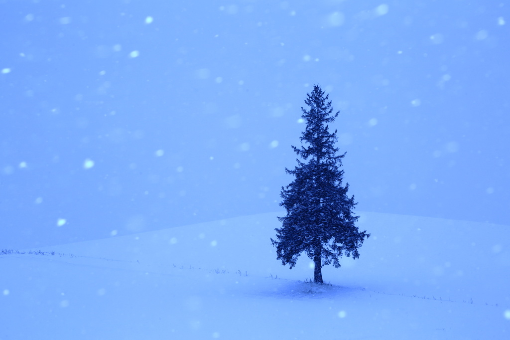 Snowfall