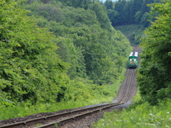 ノロッコ号　緑を抜けて美瑛駅へ