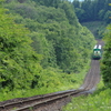 ノロッコ号　緑を抜けて美瑛駅へ