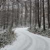 冬の路