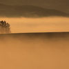 雲海の霧は丘を包む
