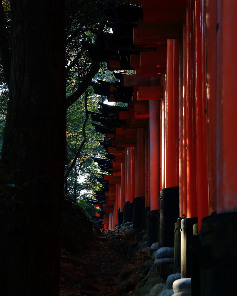 朱の路