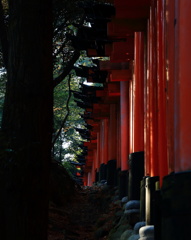 朱の路