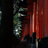 朱の路