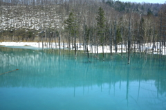 残雪の青い池