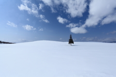 弥生の雪景色