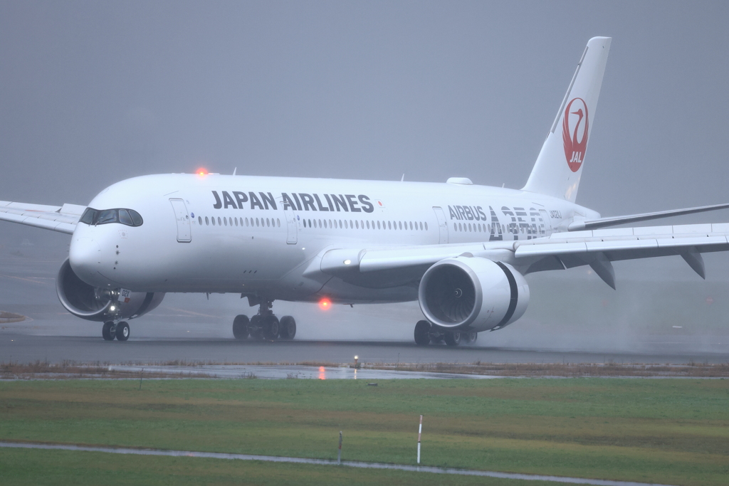 雨のランディング