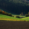 晩秋の畑にある風景