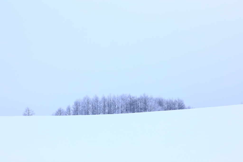 霧空に樹氷