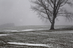 Snowstorm in April