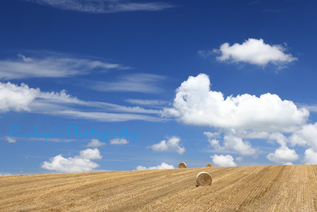 夏雲と麦稈ロール