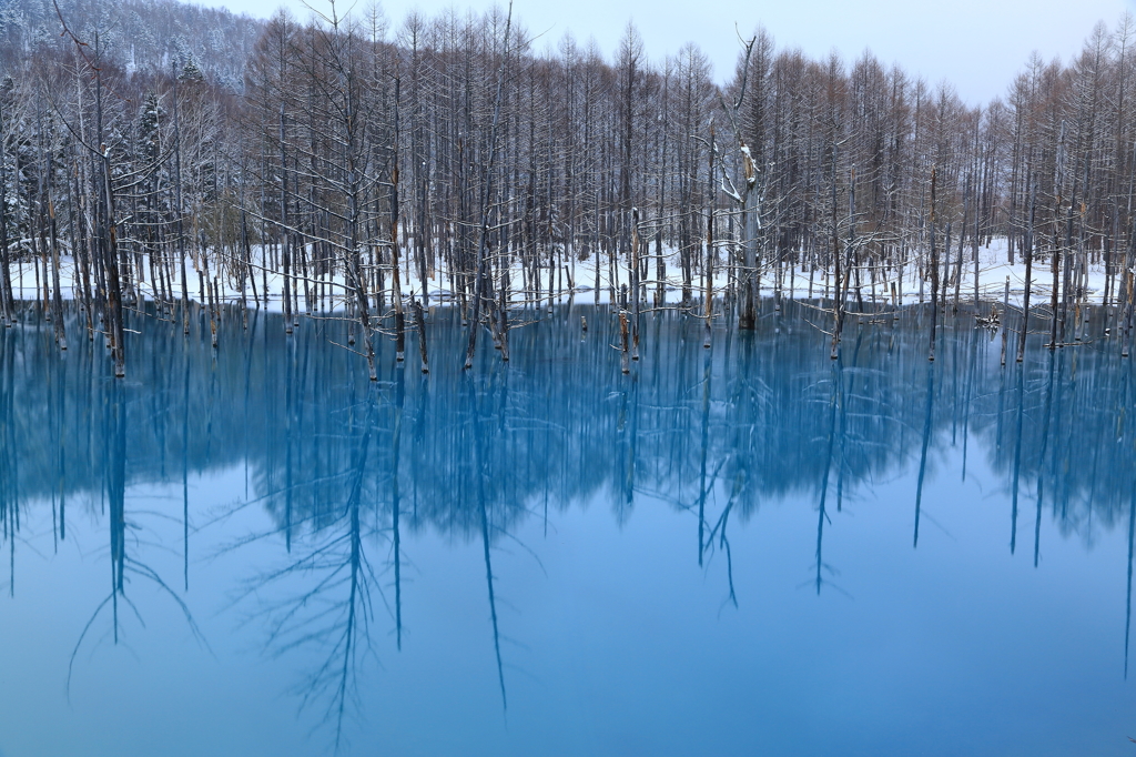 融氷の池