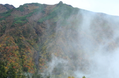 断崖の紅葉と流れる雲