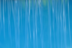 蒼