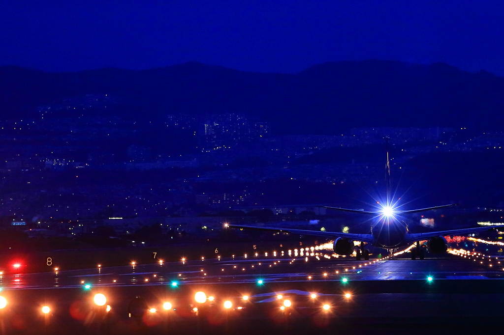 Evening flight Ⅱ