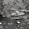 monochrome creek