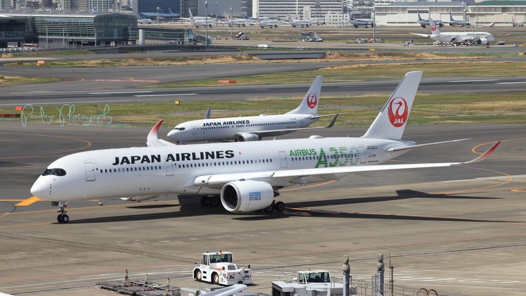 JAL × JAL