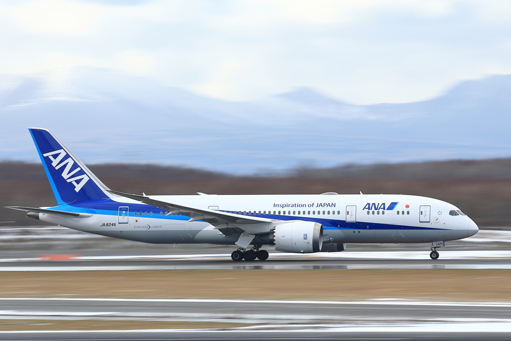 787-8 Dream Liner