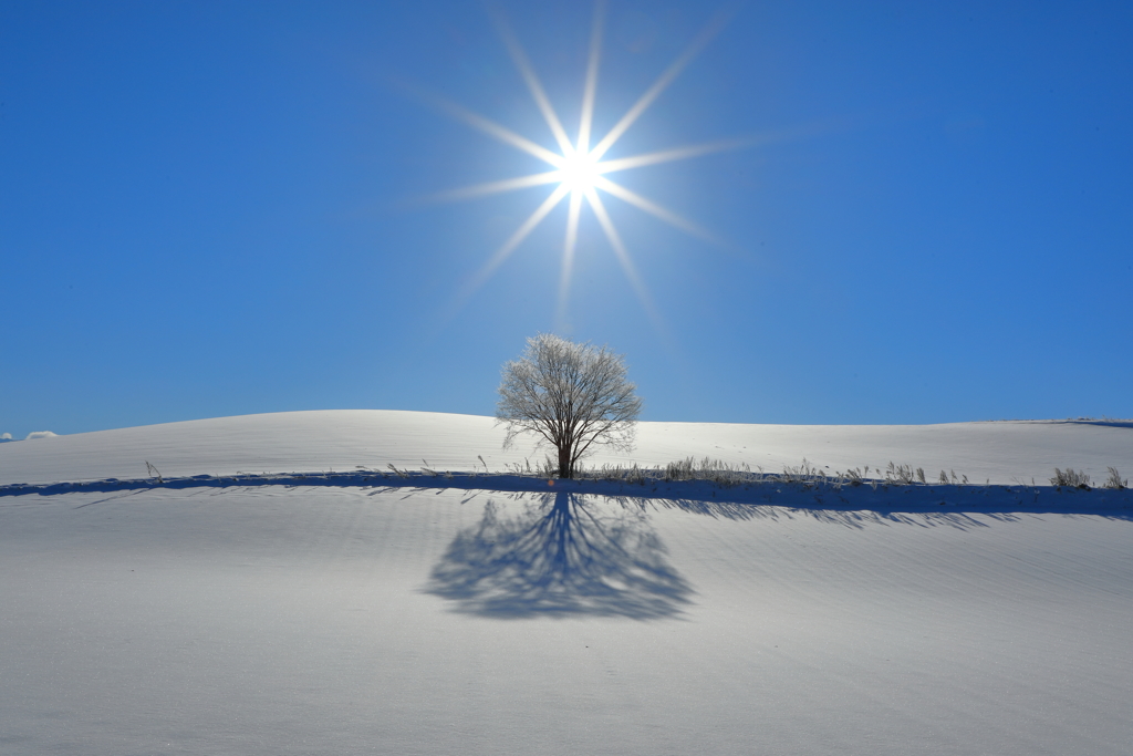 Clear sky