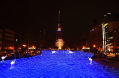 Sapporo White Illuminations