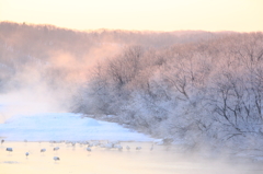 雪裡川の朝