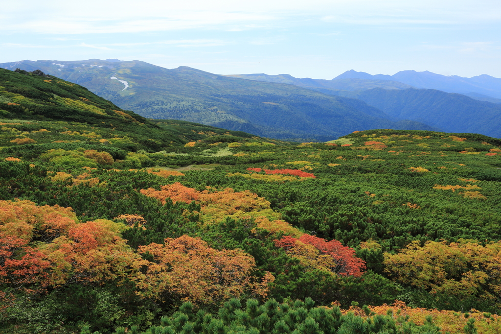 紅葉の序章