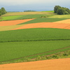 Patchwork Hills