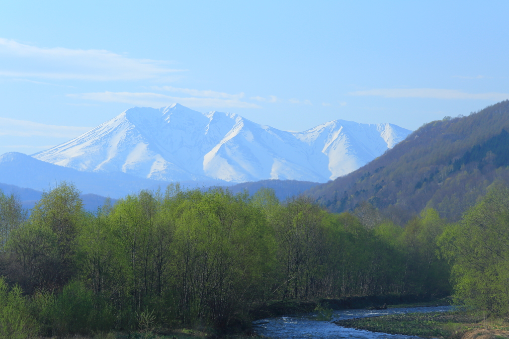 新緑と雪湛える山