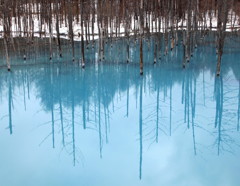 Blue Pond～春の色