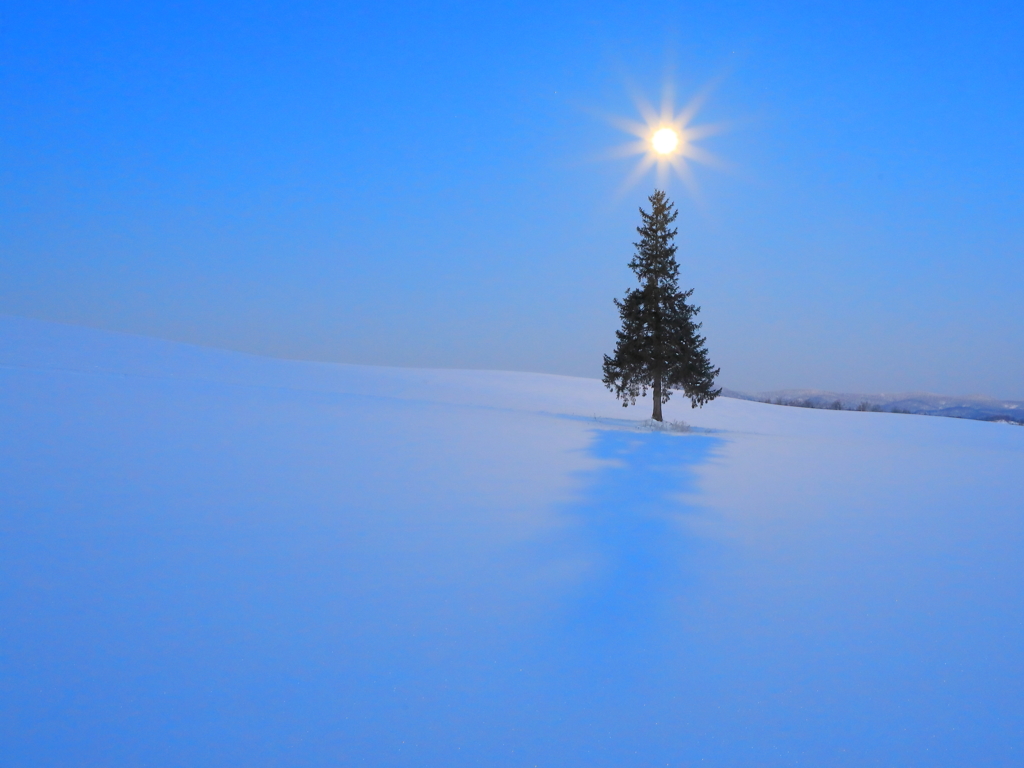 Christmas tree at Full moon
