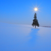 Christmas tree at Full moon